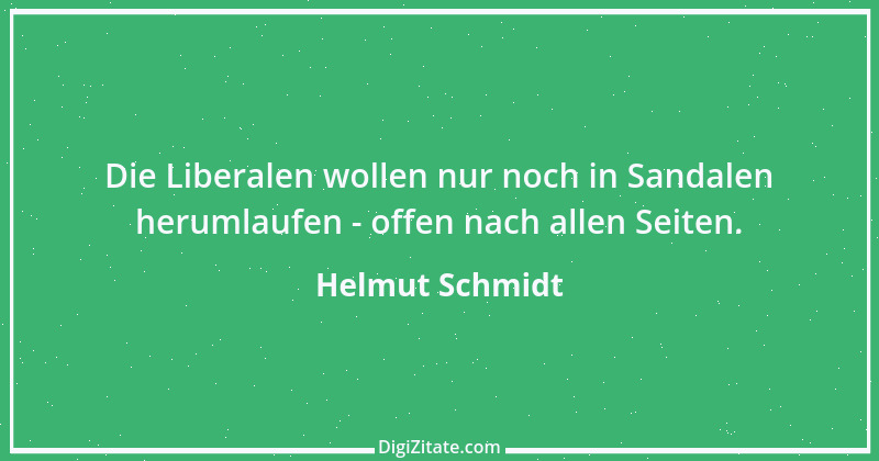 Zitat von Helmut Schmidt 23