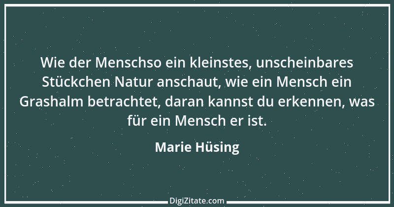 Zitat von Marie Hüsing 1