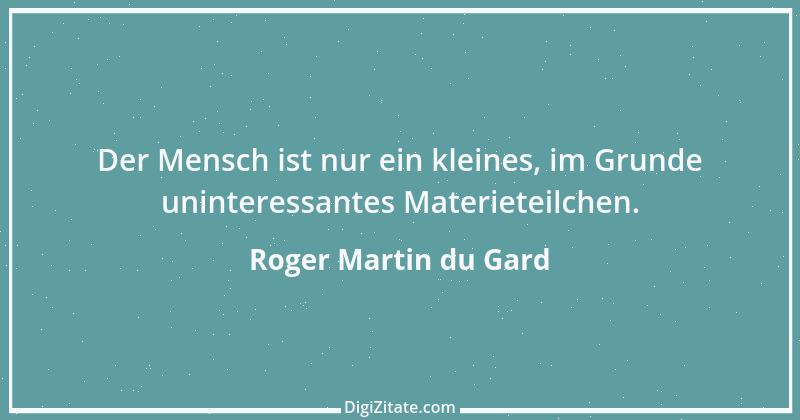 Zitat von Roger Martin du Gard 3