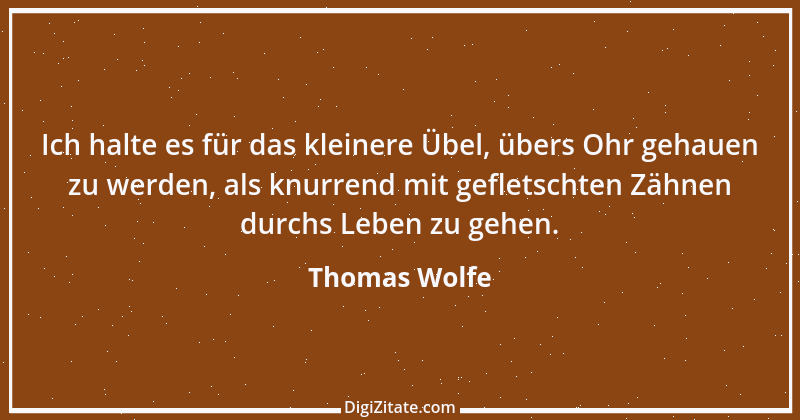 Zitat von Thomas Wolfe 27