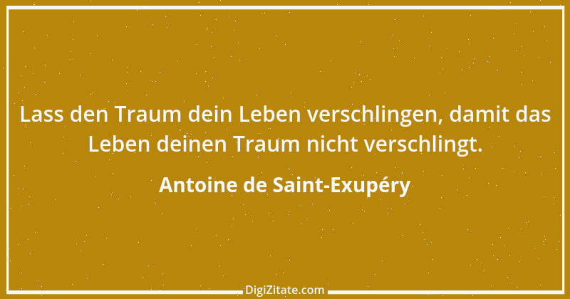 Zitat von Antoine de Saint-Exupéry 16