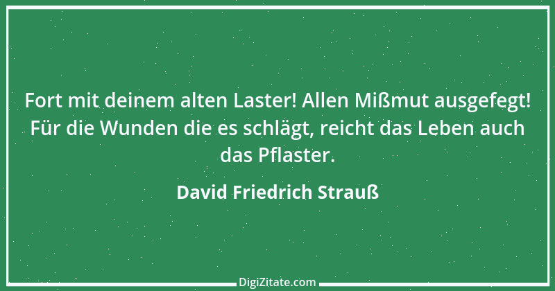 Zitat von David Friedrich Strauß 4