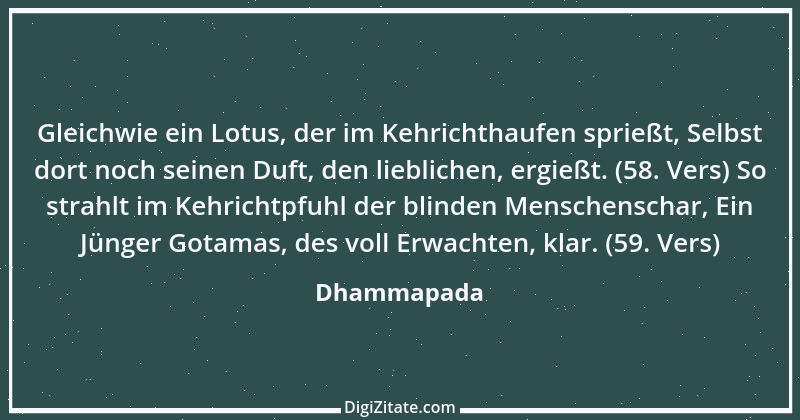 Zitat von Dhammapada 6