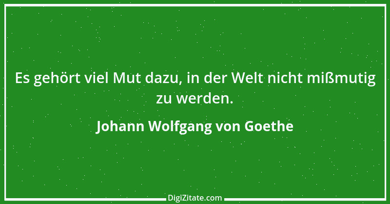 Zitat von Johann Wolfgang von Goethe 13