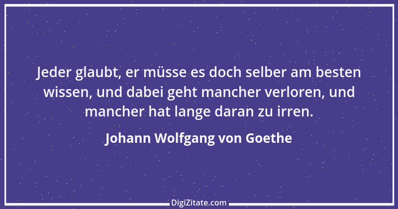 Zitat von Johann Wolfgang von Goethe 2013