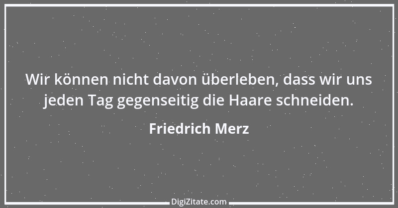 Zitat von Friedrich Merz 5