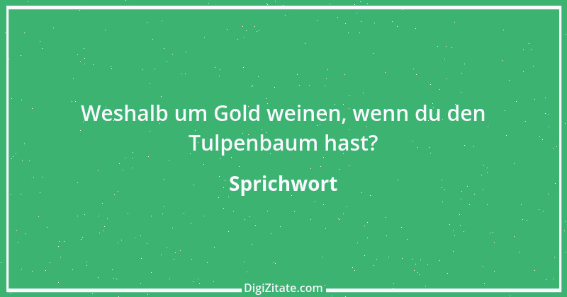 Zitat von Sprichwort 8007