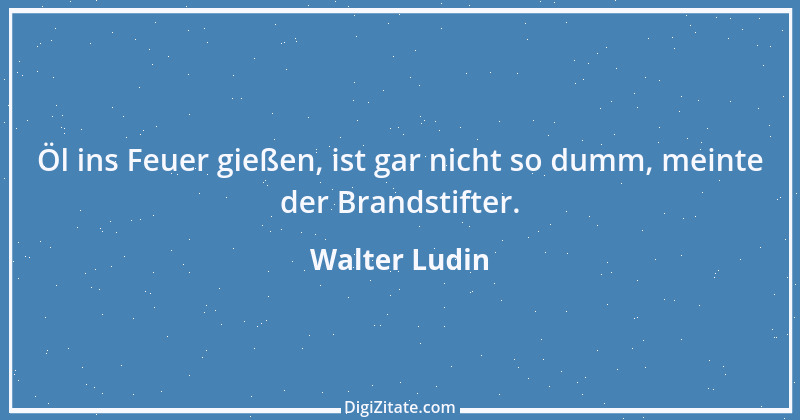 Zitat von Walter Ludin 517