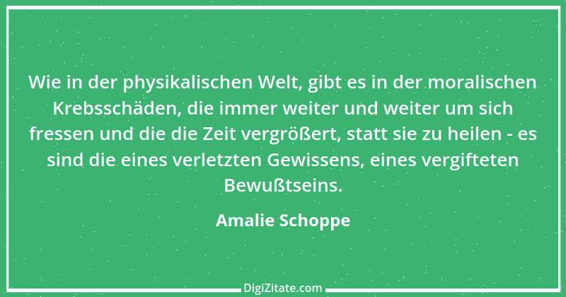 Zitat von Amalie Schoppe 1