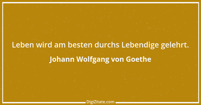 Zitat von Johann Wolfgang von Goethe 755