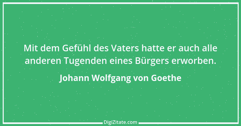 Zitat von Johann Wolfgang von Goethe 3016