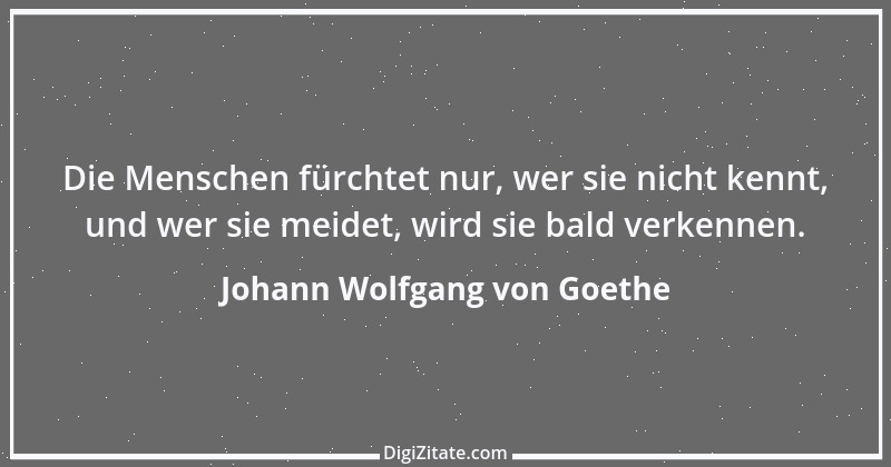 Zitat von Johann Wolfgang von Goethe 4016