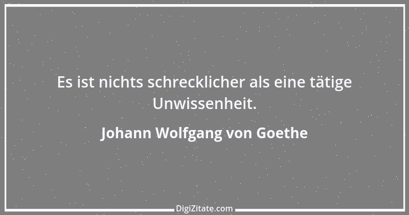 Zitat von Johann Wolfgang von Goethe 1017