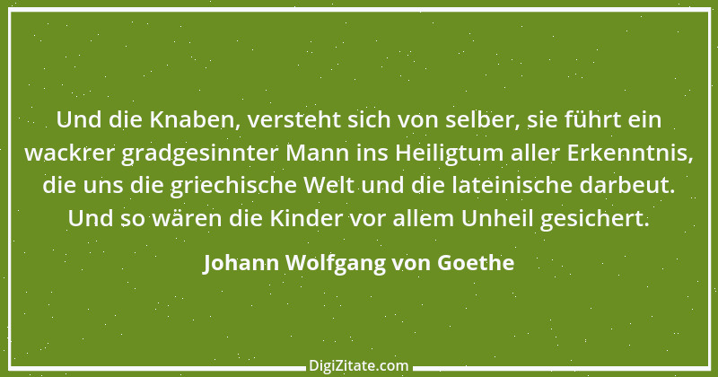 Zitat von Johann Wolfgang von Goethe 1018