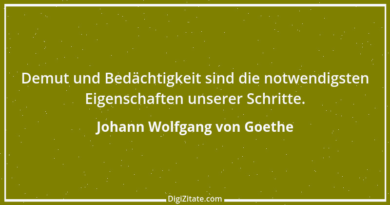 Zitat von Johann Wolfgang von Goethe 3018