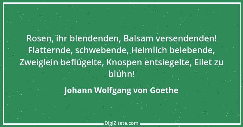 Zitat von Johann Wolfgang von Goethe 4018