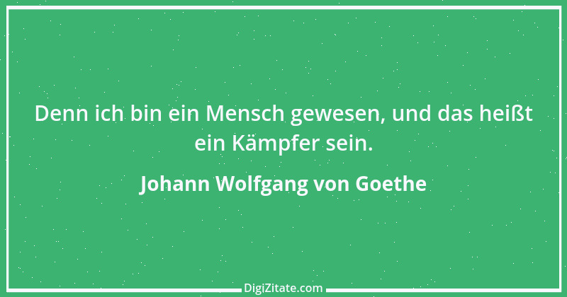 Zitat von Johann Wolfgang von Goethe 4019