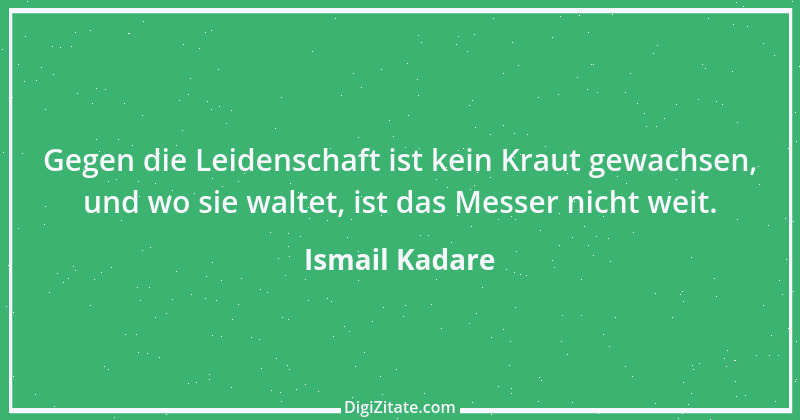 Zitat von Ismail Kadare 1