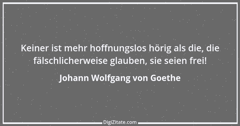 Zitat von Johann Wolfgang von Goethe 1020