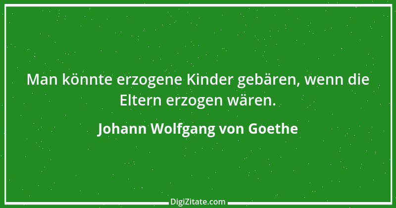 Zitat von Johann Wolfgang von Goethe 20