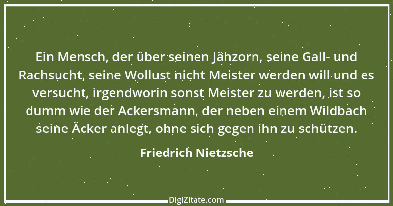 Zitat von Friedrich Nietzsche 959