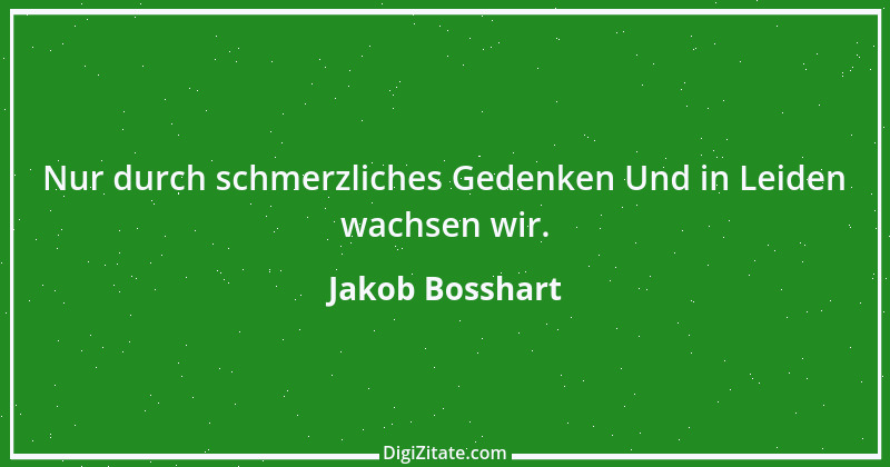 Zitat von Jakob Bosshart 97