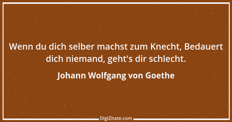 Zitat von Johann Wolfgang von Goethe 2022