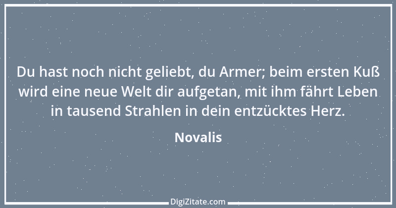 Zitat von Novalis 346