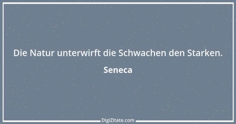 Zitat von Seneca 159