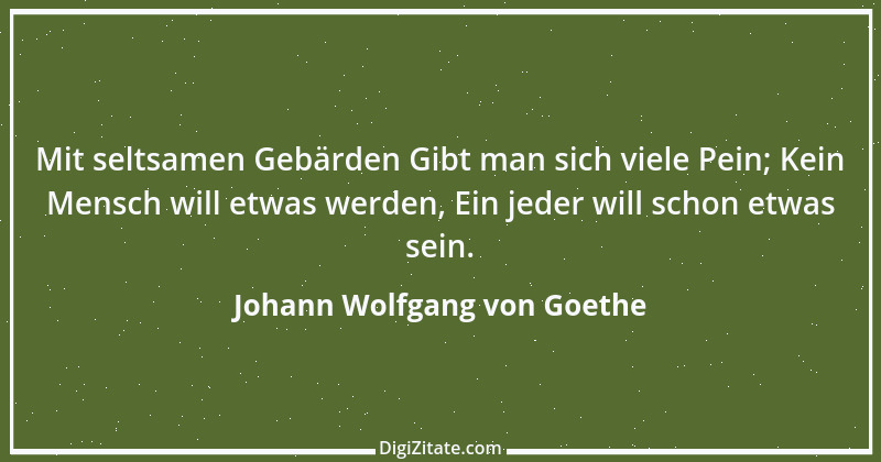 Zitat von Johann Wolfgang von Goethe 3024