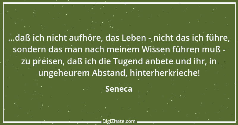 Zitat von Seneca 161