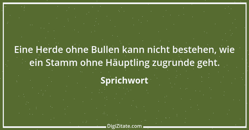 Zitat von Sprichwort 2017