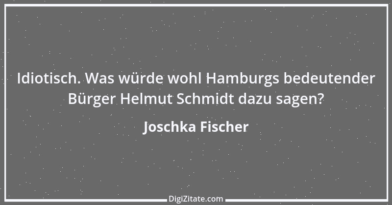 Zitat von Joschka Fischer 20