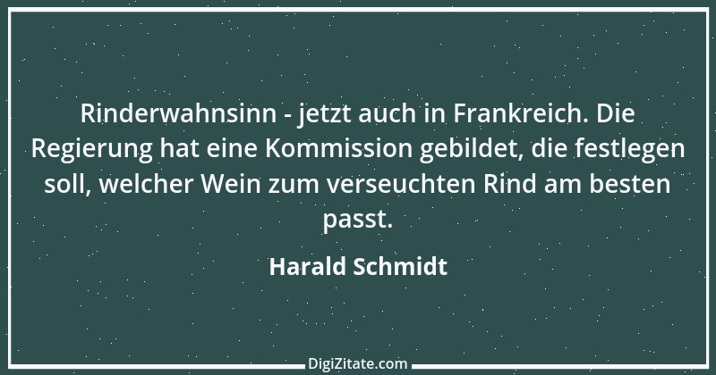 Zitat von Harald Schmidt 345