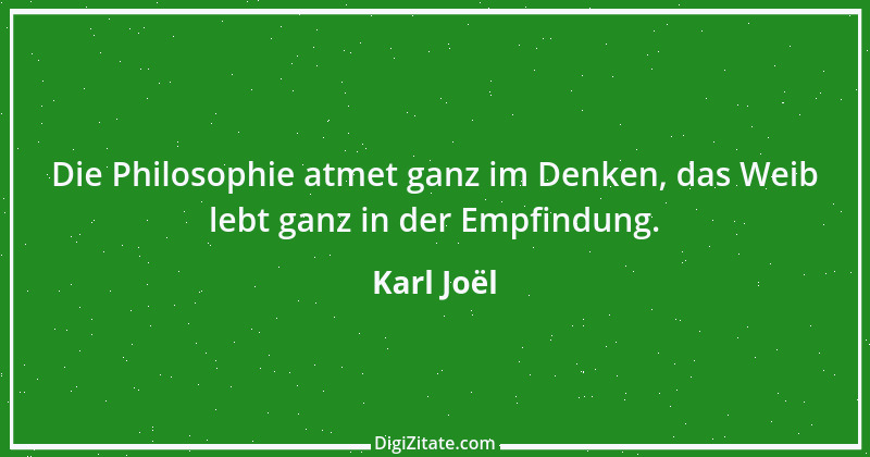 Zitat von Karl Joël 3