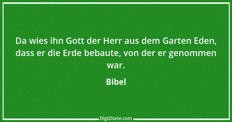 Zitat von Bibel 1063