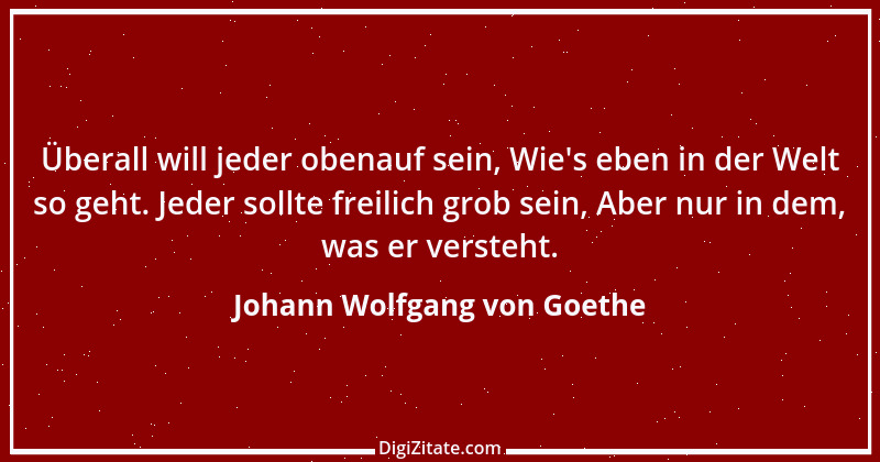 Zitat von Johann Wolfgang von Goethe 1028