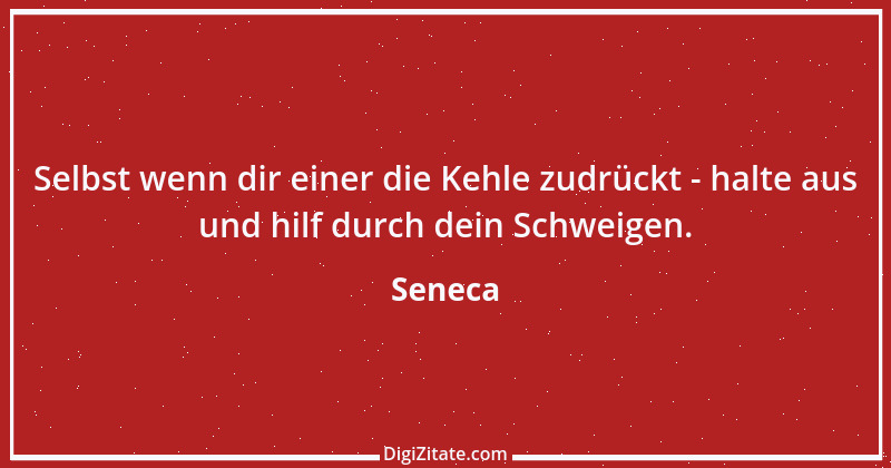 Zitat von Seneca 164