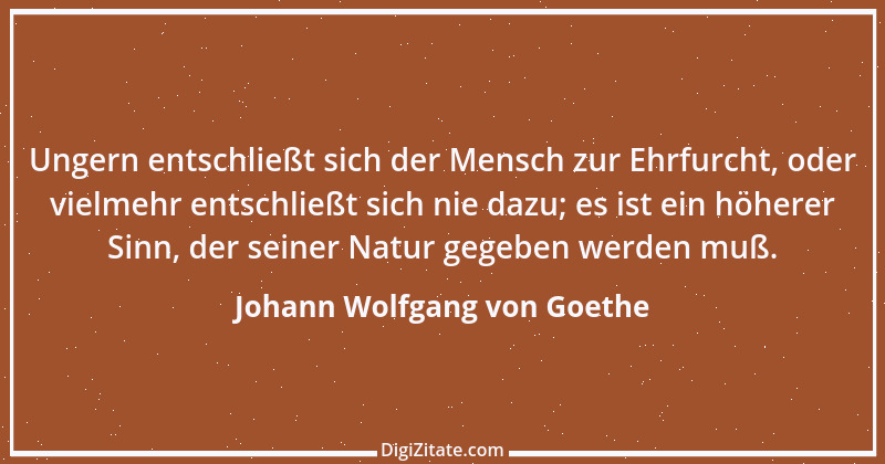 Zitat von Johann Wolfgang von Goethe 1029