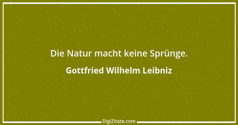 Zitat von Gottfried Wilhelm Leibniz 40