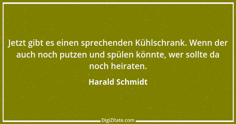 Zitat von Harald Schmidt 348