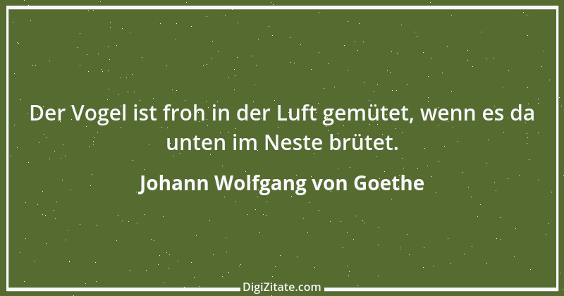 Zitat von Johann Wolfgang von Goethe 4030