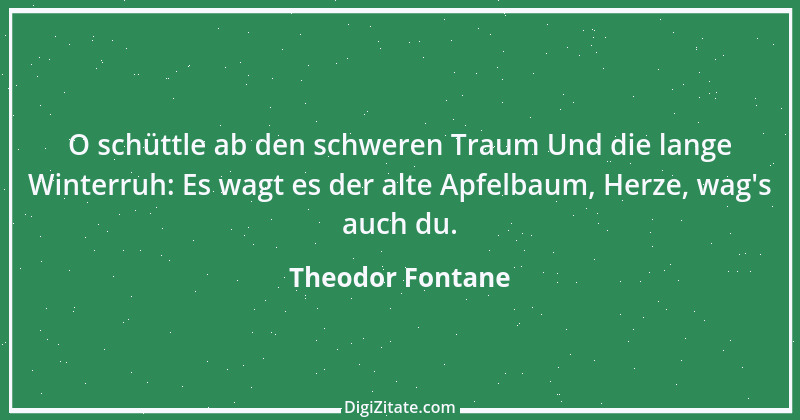 Zitat von Theodor Fontane 292