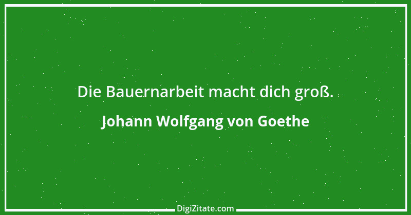 Zitat von Johann Wolfgang von Goethe 31