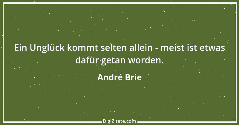 Zitat von André Brie 314