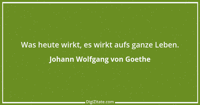 Zitat von Johann Wolfgang von Goethe 3033