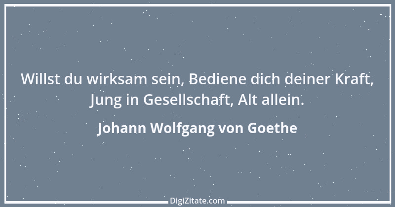 Zitat von Johann Wolfgang von Goethe 33