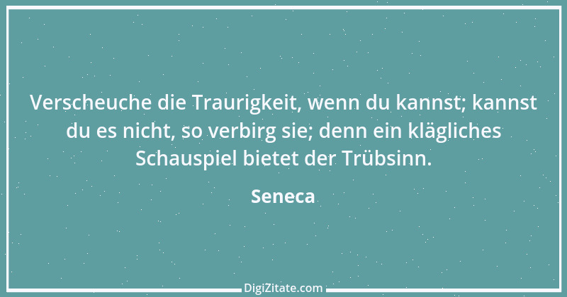 Zitat von Seneca 170