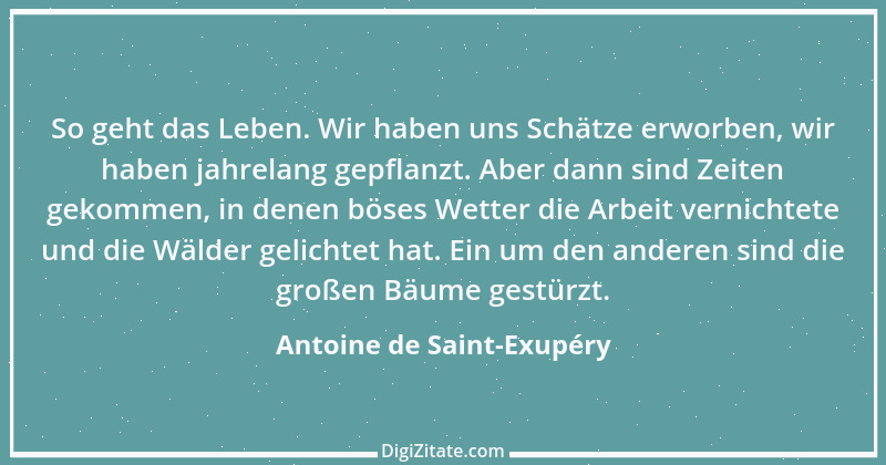 Zitat von Antoine de Saint-Exupéry 39