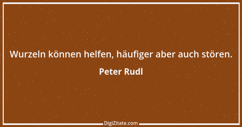 Zitat von Peter Rudl 1309